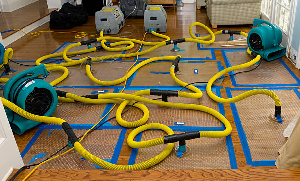 Professional Crawl Space Water Removal technician working in Bridgeport, NY
